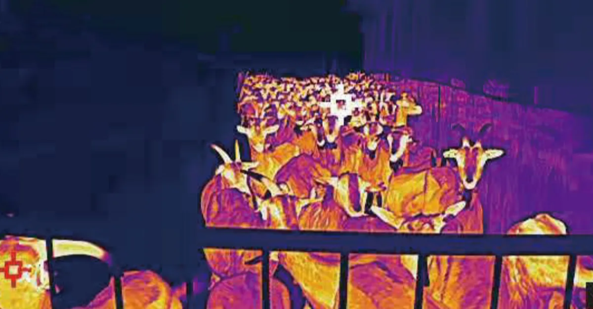 Thermal Imaging Camera