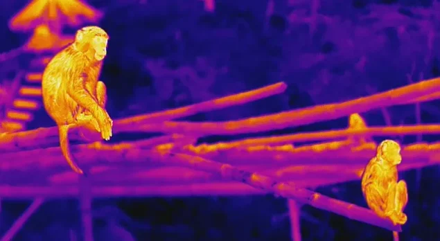 Thermal Imagers
