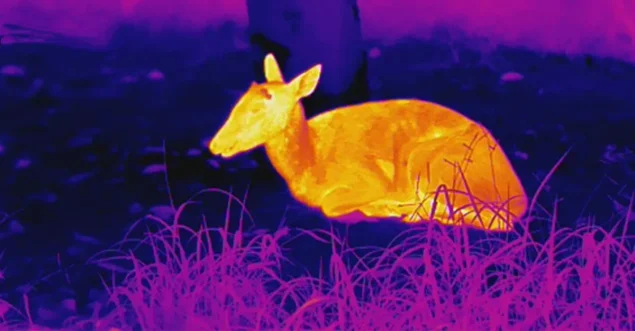 Thermal Imagers